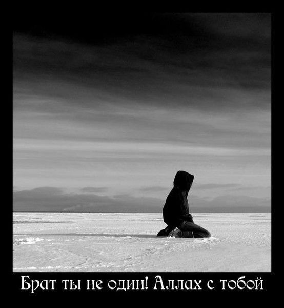 Bakyt.. Saparbekov..