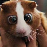 Евгений Сечко