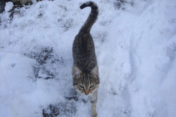 Оксана Солодовникова