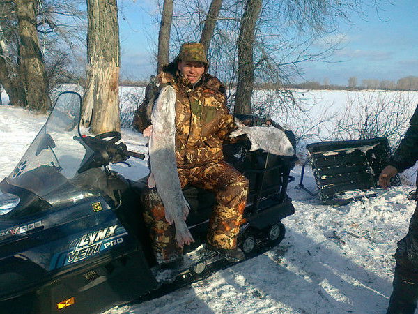 Олег Молчанов