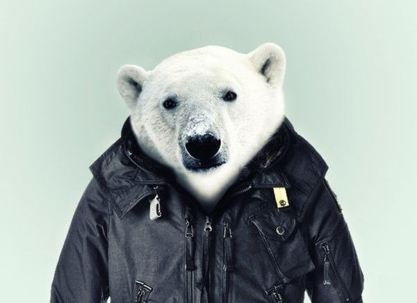 Павел Гамаюнов