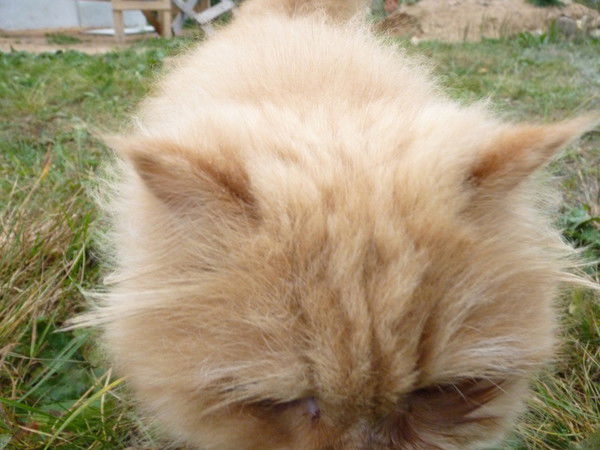 Сергей Ковалёв