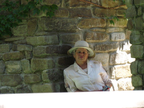 Елена Бессильная