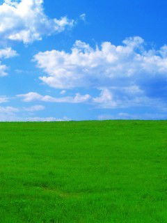 Айрат Иматдинов