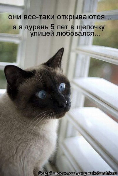 Виктория Аверьянова