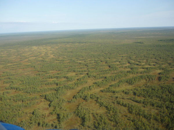 Денис Линников