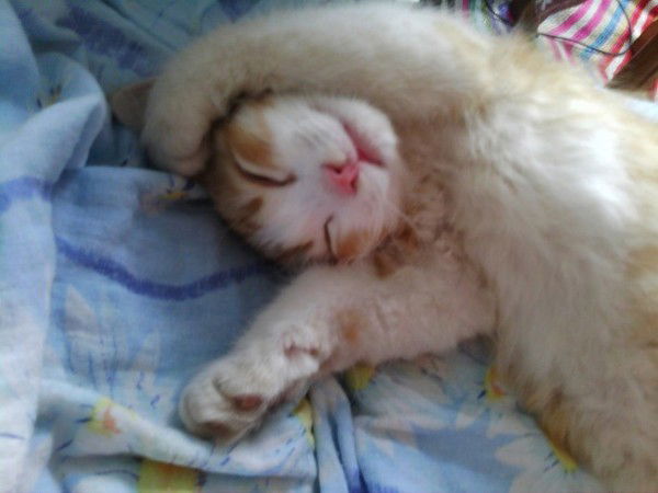 Ольга Ившина