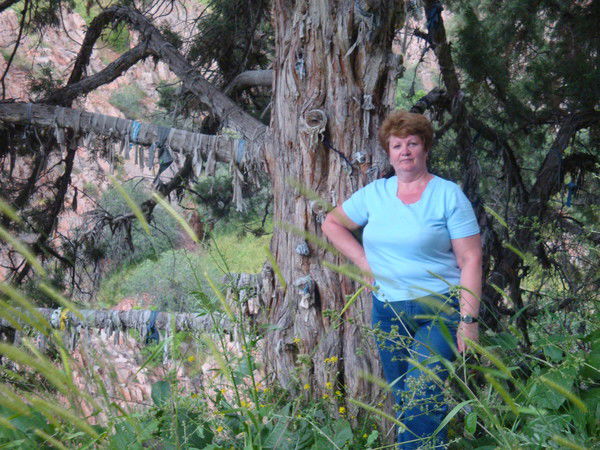 Татьяна Верхняцкая