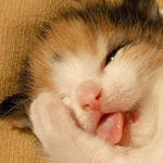 Маша Карпова