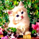 Анастасия Козий