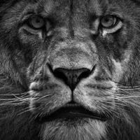 Алексей Сударкин