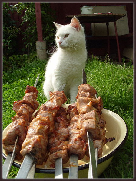 Татьяна Кургузова(Симбирёва)