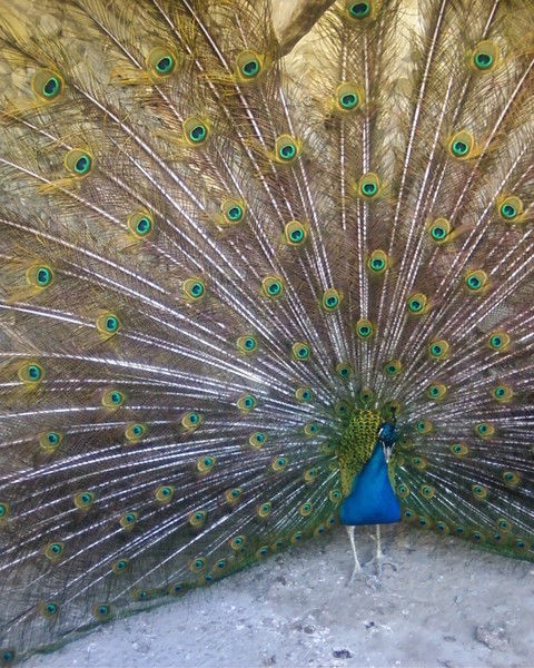 Натали */*/*/*/*/*