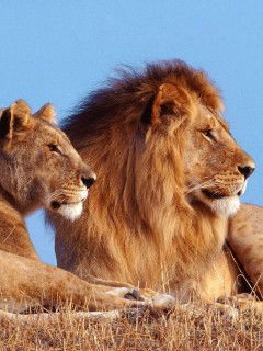 Сергей Габитов