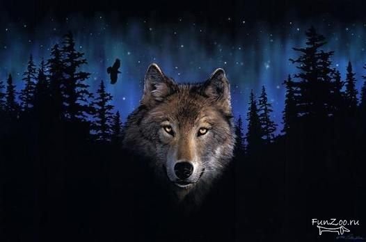 Александр Тюгаев