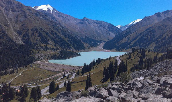 Светлана Шумилина