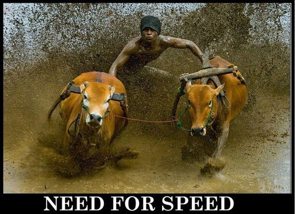 Альберт Насибуллин