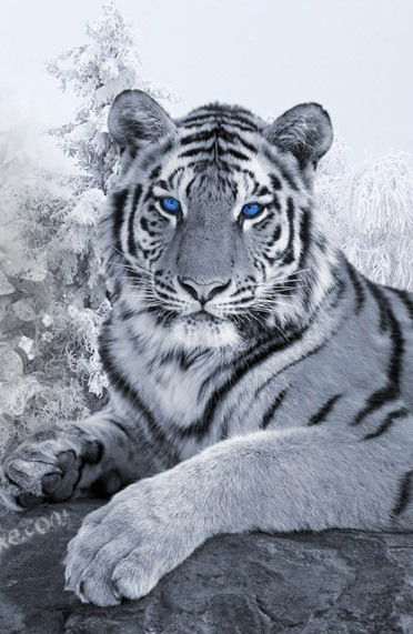 Оксана Решетникова