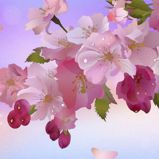 Алтыуй Амбулатория