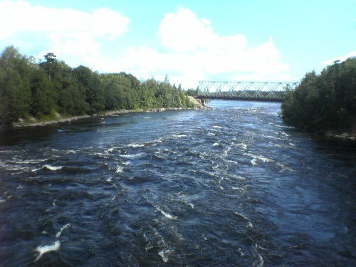 Алексей Николаев