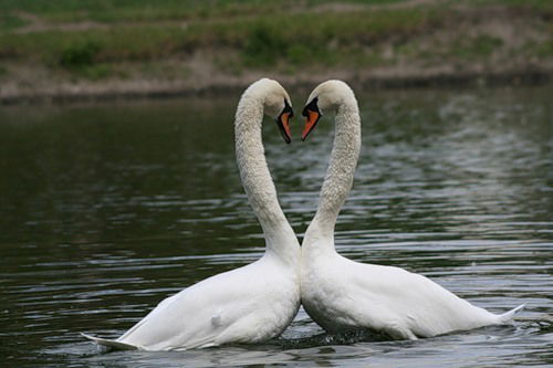 Владислав Секерин