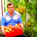 Николай Дворецкий