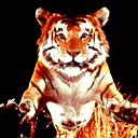 Андрей Демидович