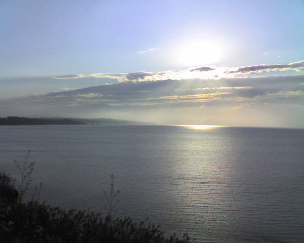 Денис Курешов