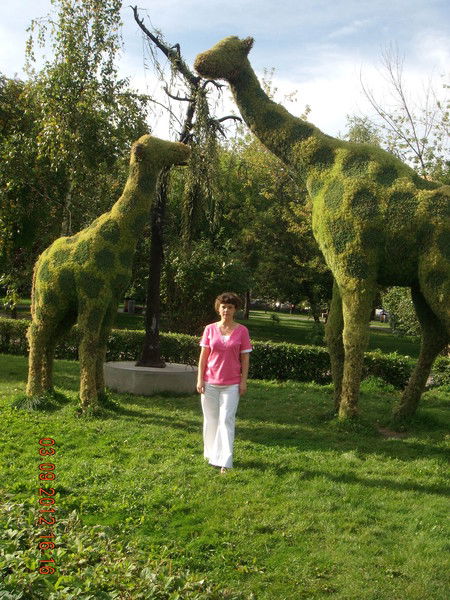 Ирина Дюкова