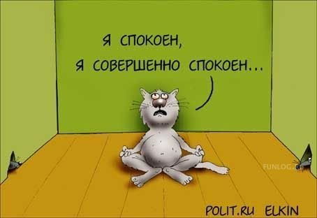 Николай Пысин