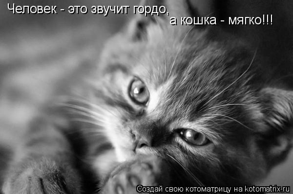 Алма Илимбаева