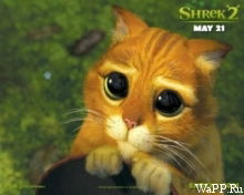 Сергей Кокшаров