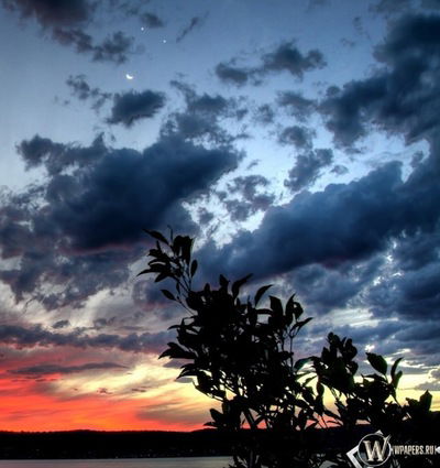 Олег Петров