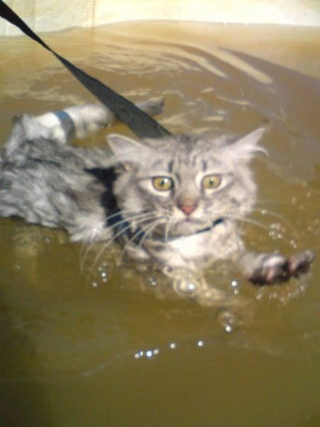 Гостиный Дом "комфорт"