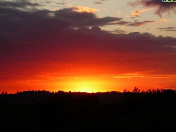 Андрей Плетенчук