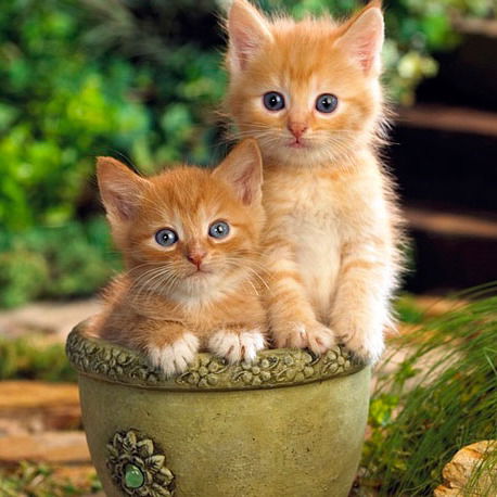 Жанна Саакян