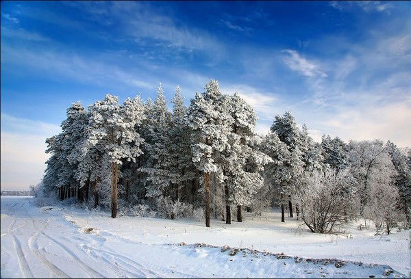 Алмас Шыртанов