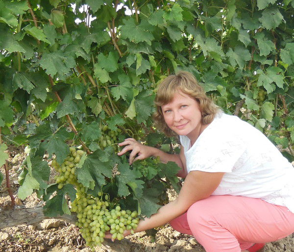 Таня Городецкая