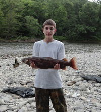 †s†wolff †s†