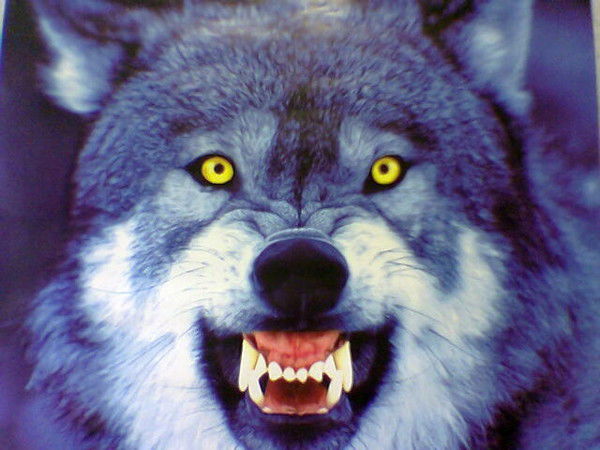 Юрий Беджанян