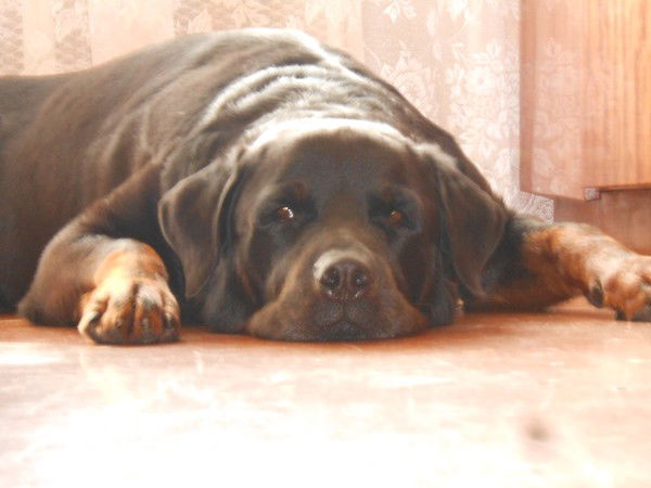 Андрей Бабицкий