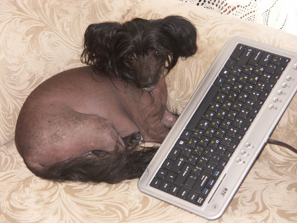 Андрей Кондратюк