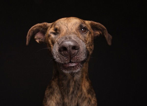 Михаил Котов