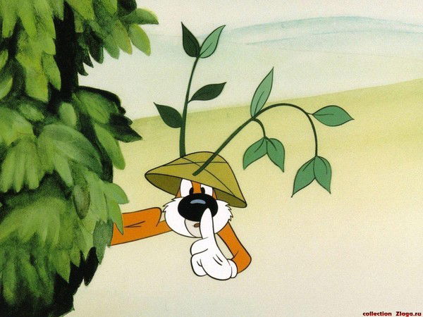 Алекс Сорока