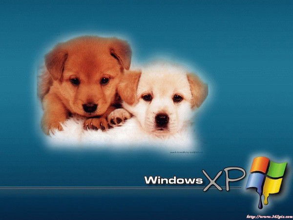 Андрей Федоров