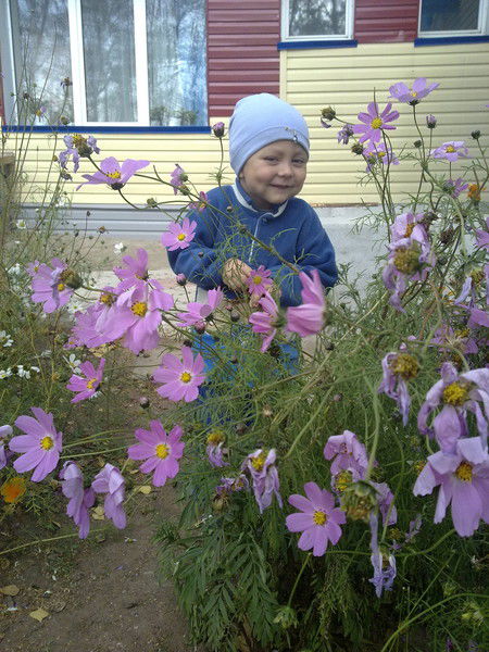 Владимир Зименков