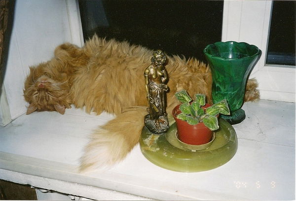 Татьяна Цигаль