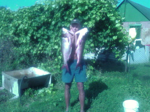 Василий Токаренко