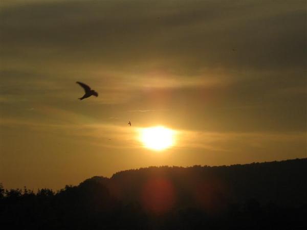 Геннадий Грибенчиков