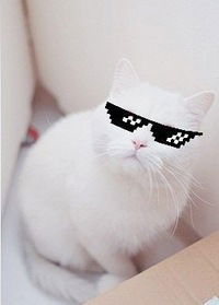 Егор Гончаренко